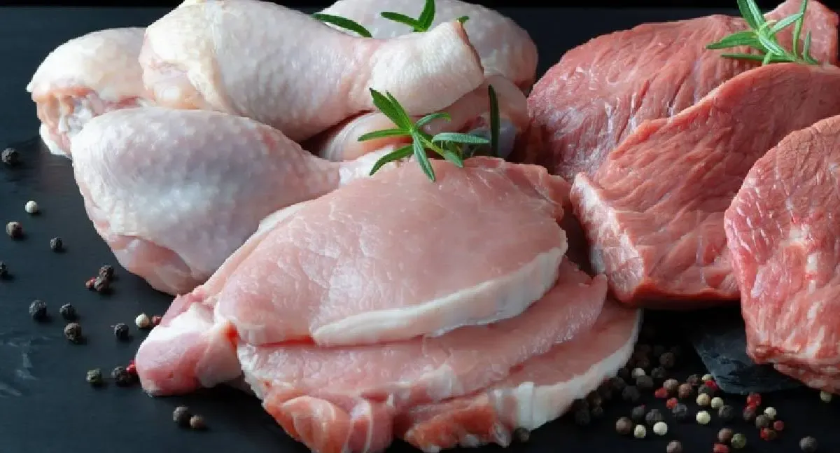 Conab projeta 33,38 milhões de toneladas de carnes em 2026