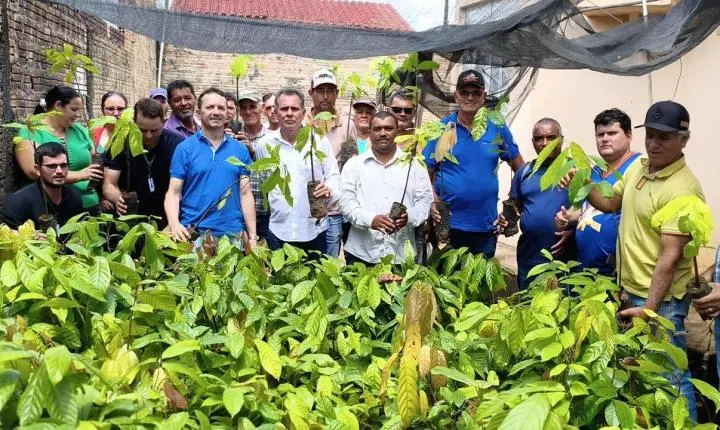 Fortalecimento da agricultura: deputado Alan Queiroz entrega 3 mil mudas de cacau para produtores de Buritis