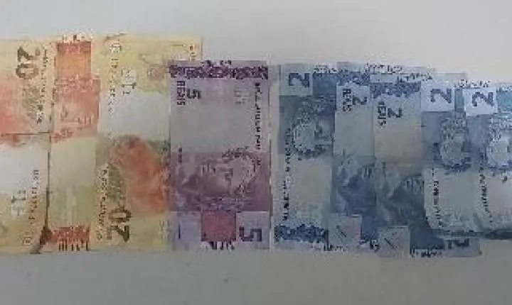 Homem rouba motorista de ônibus, foge por córrego e é atacado por pitbulls ao invadir quintal